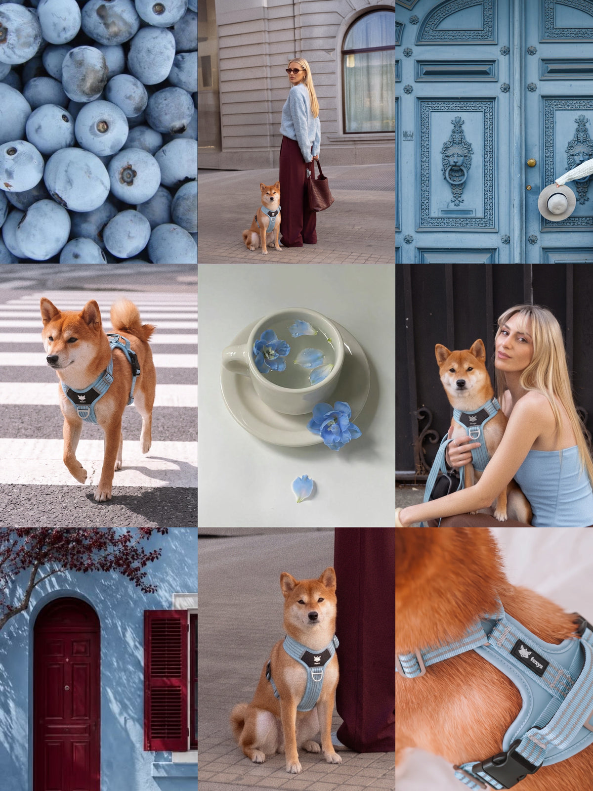 Walking Kit • Baby Blue