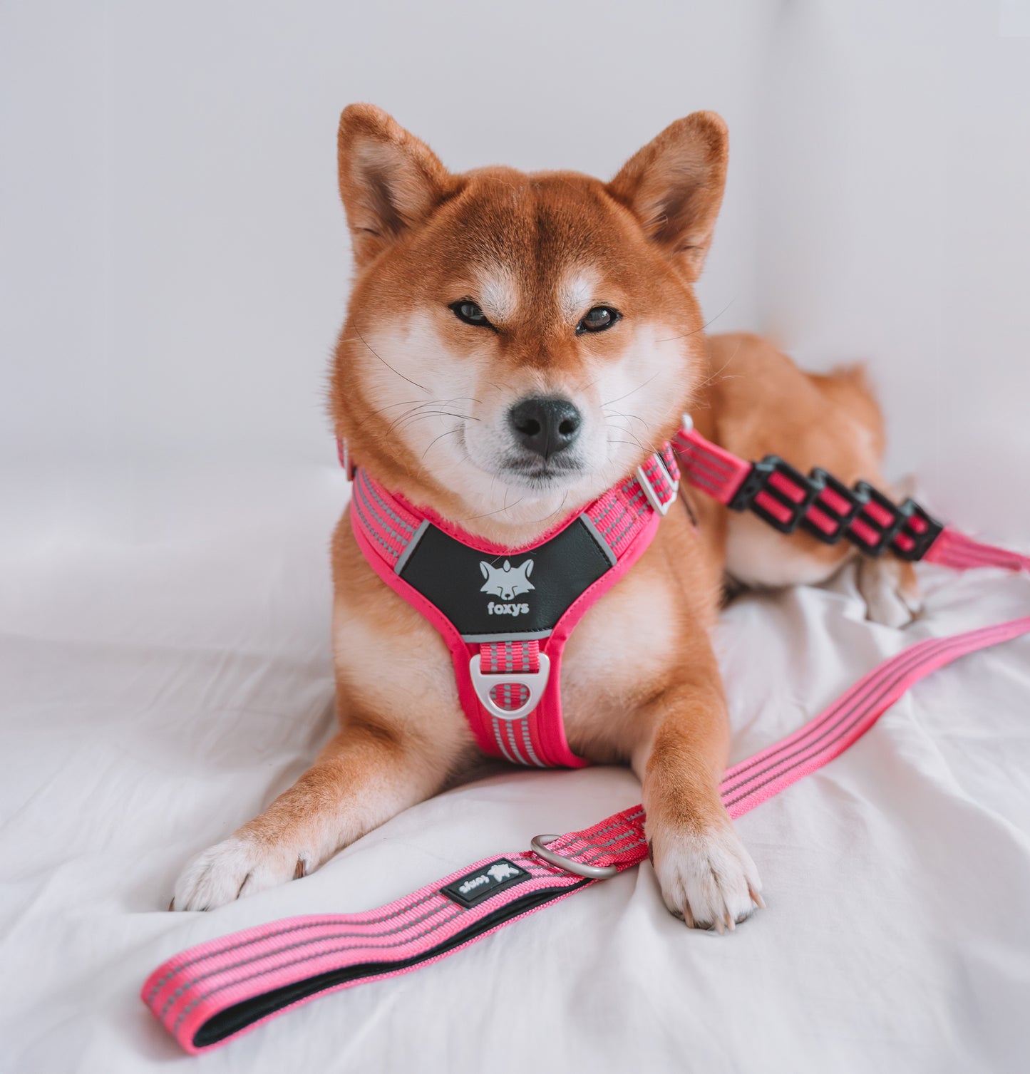 CountryFox™ PRO Harness - růžový