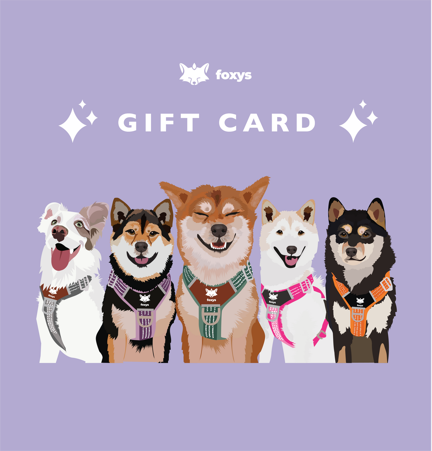 Foxys E-Gift-Karte