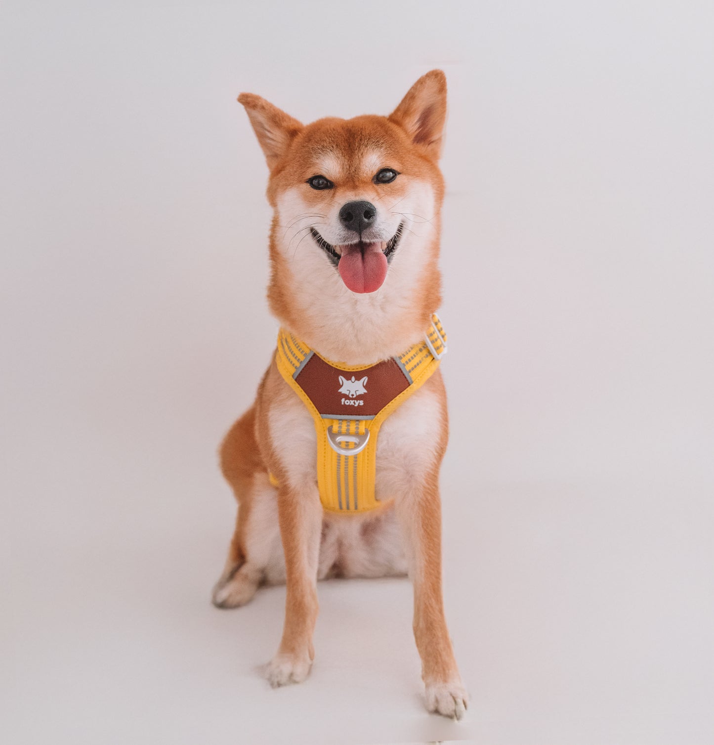 CountryFox ™ Pro Arnés | Buttergelb