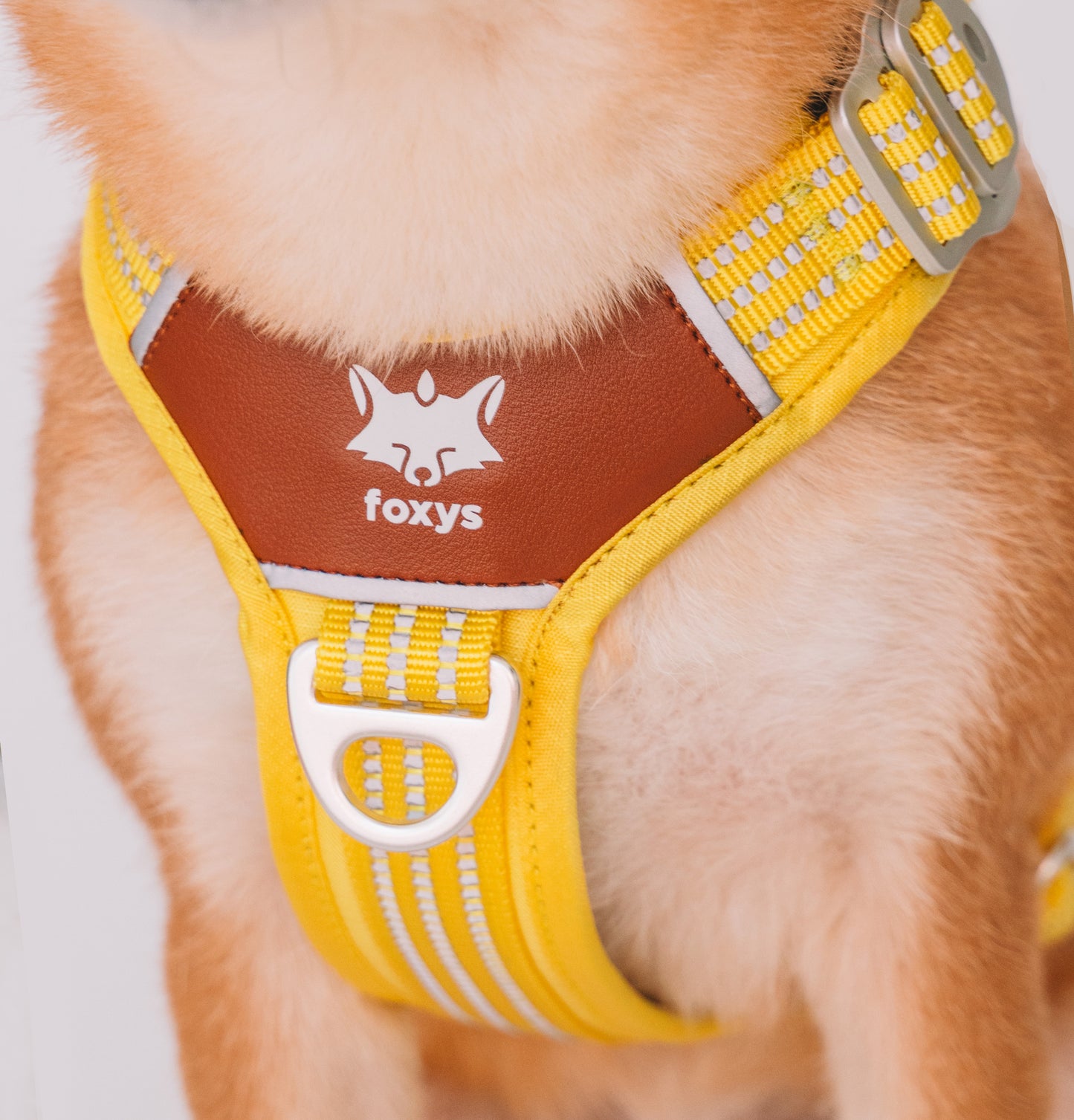 CountryFox ™ Pro Arnés | Buttergelb