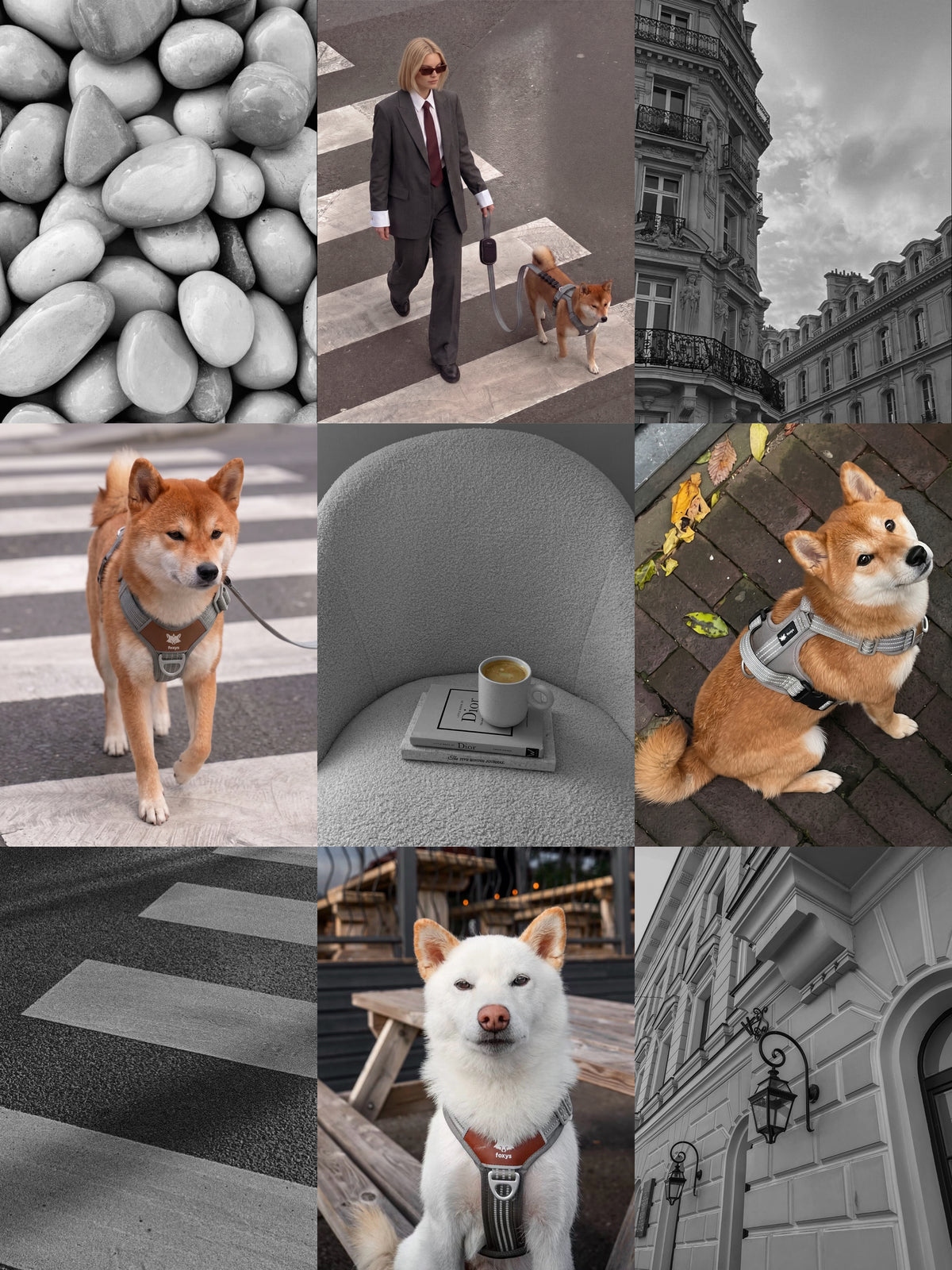 Walking Kit • Gris