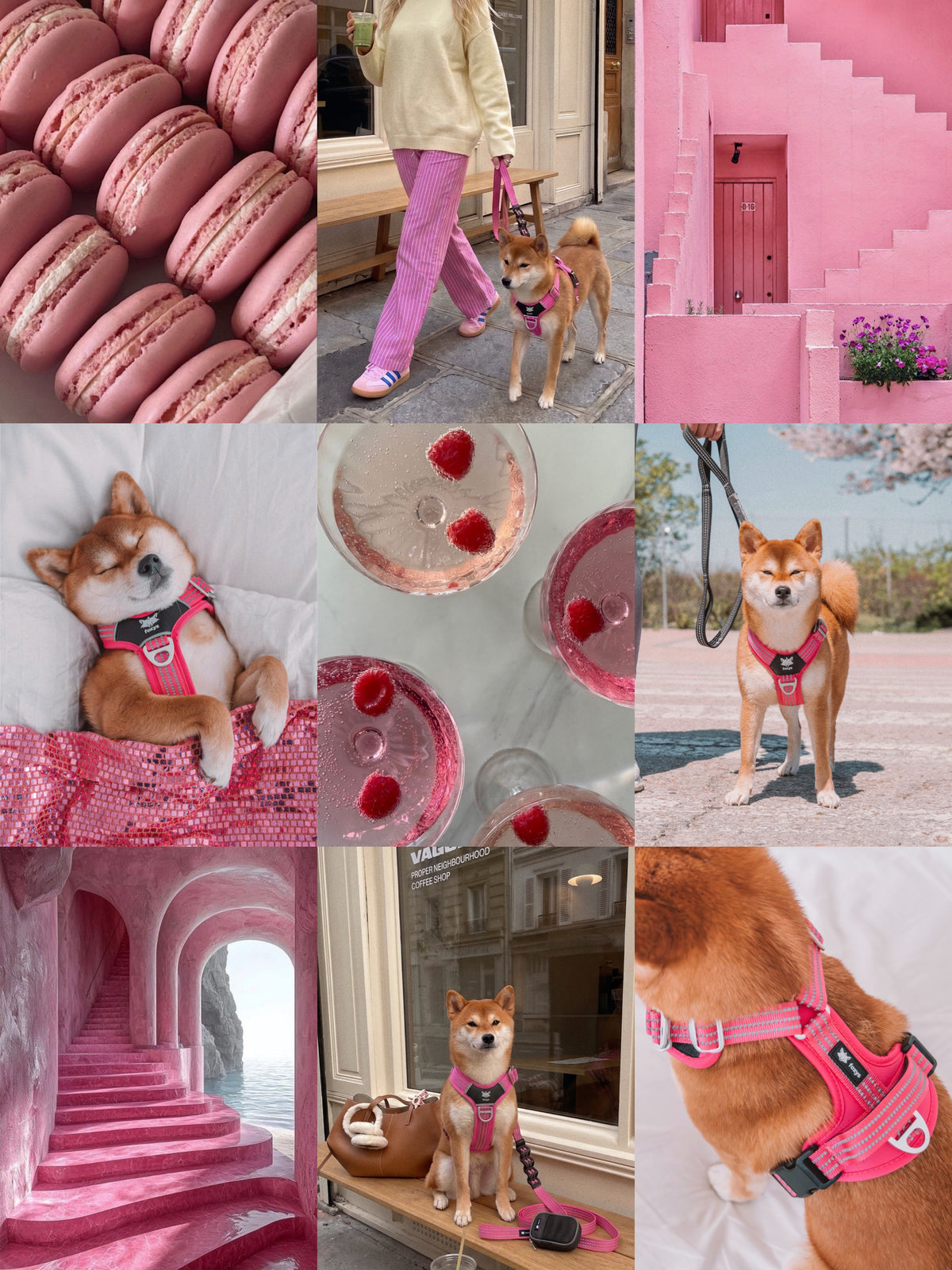 Walking Kit • Rosa