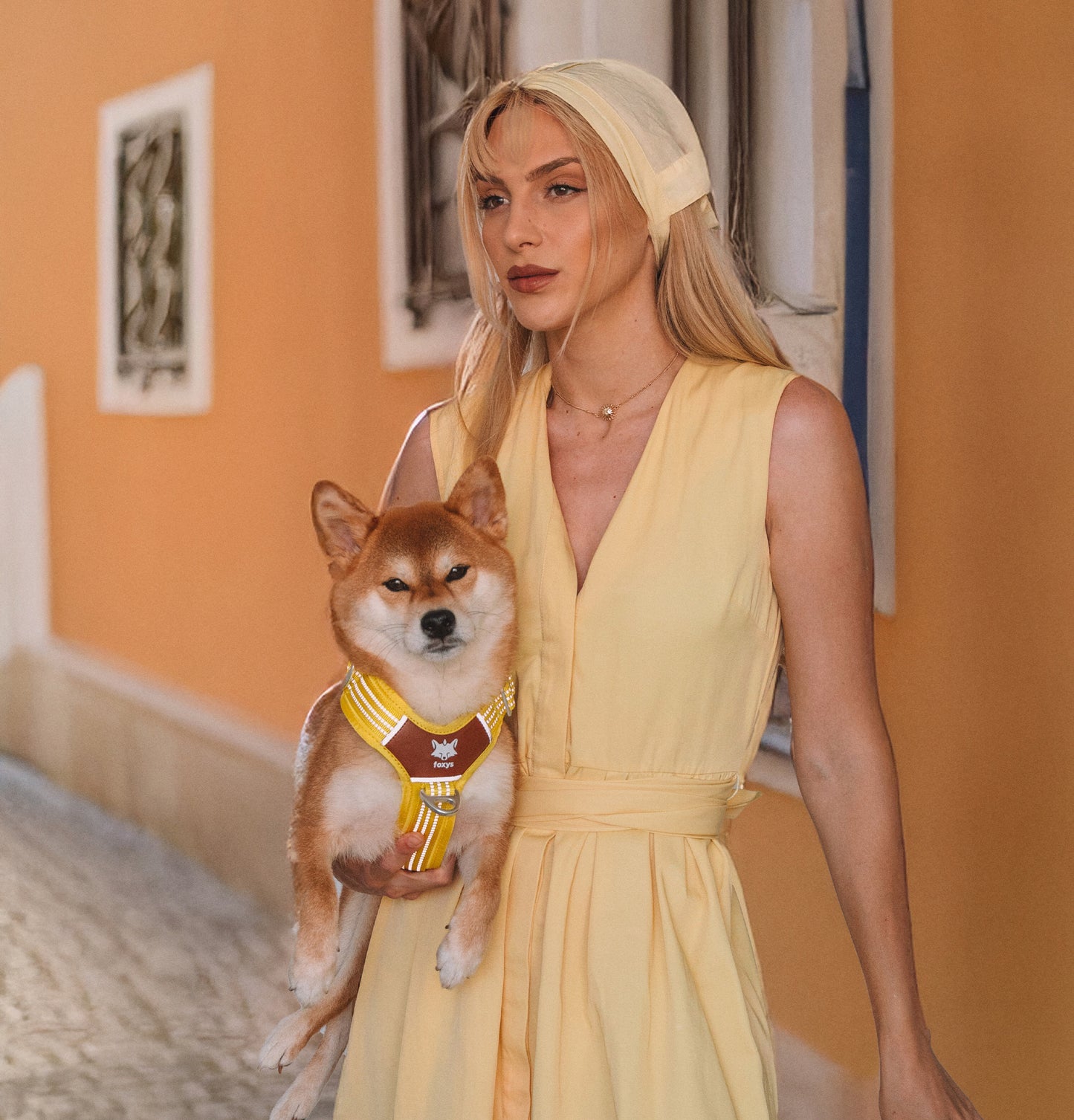 CountryFox™ PRO Harness | Butter Yellow