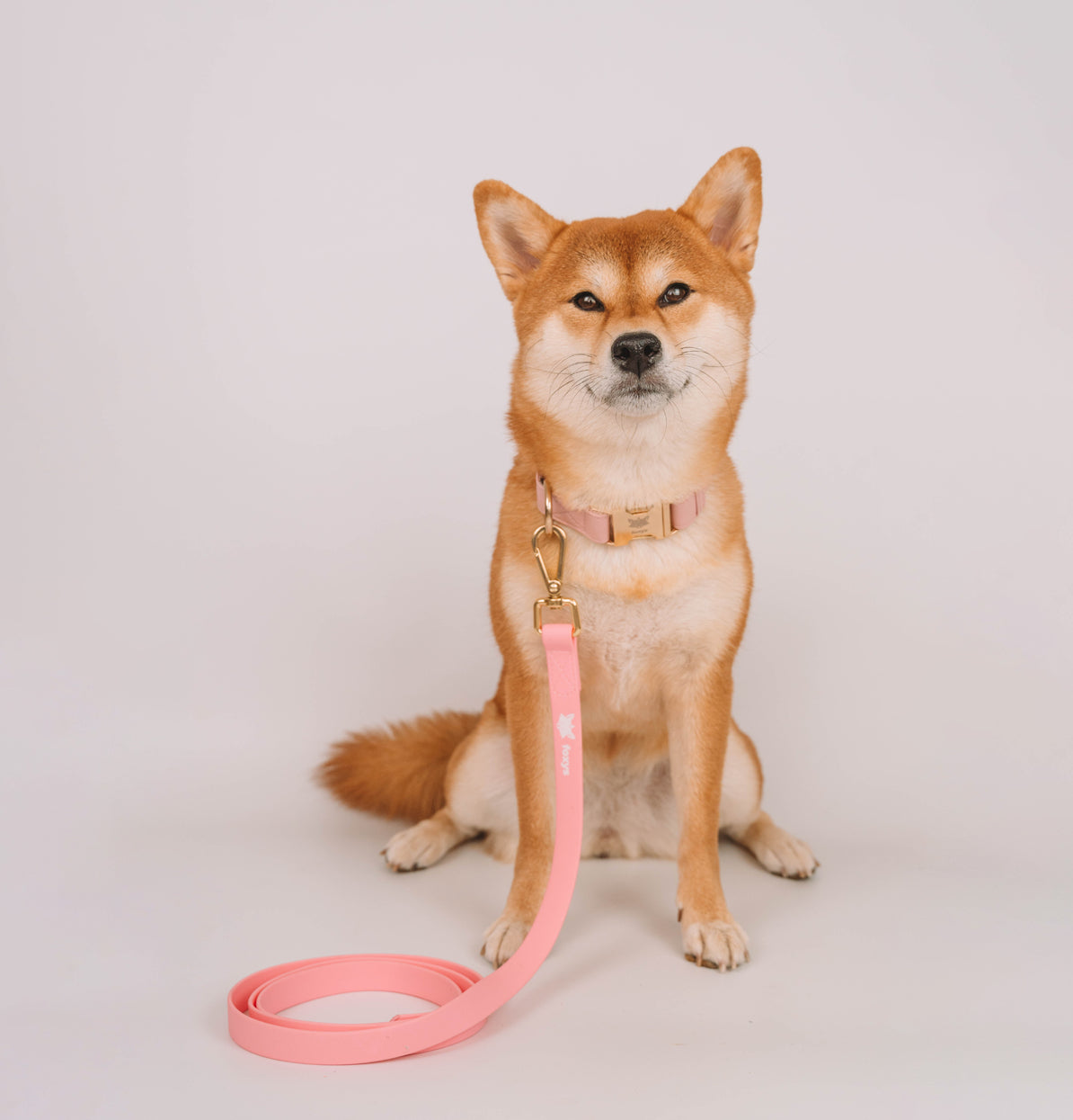 Freedom™ <tc>leash</tc> Training | pink
