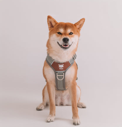 CountryFox™  PRO Arnés |  Gris