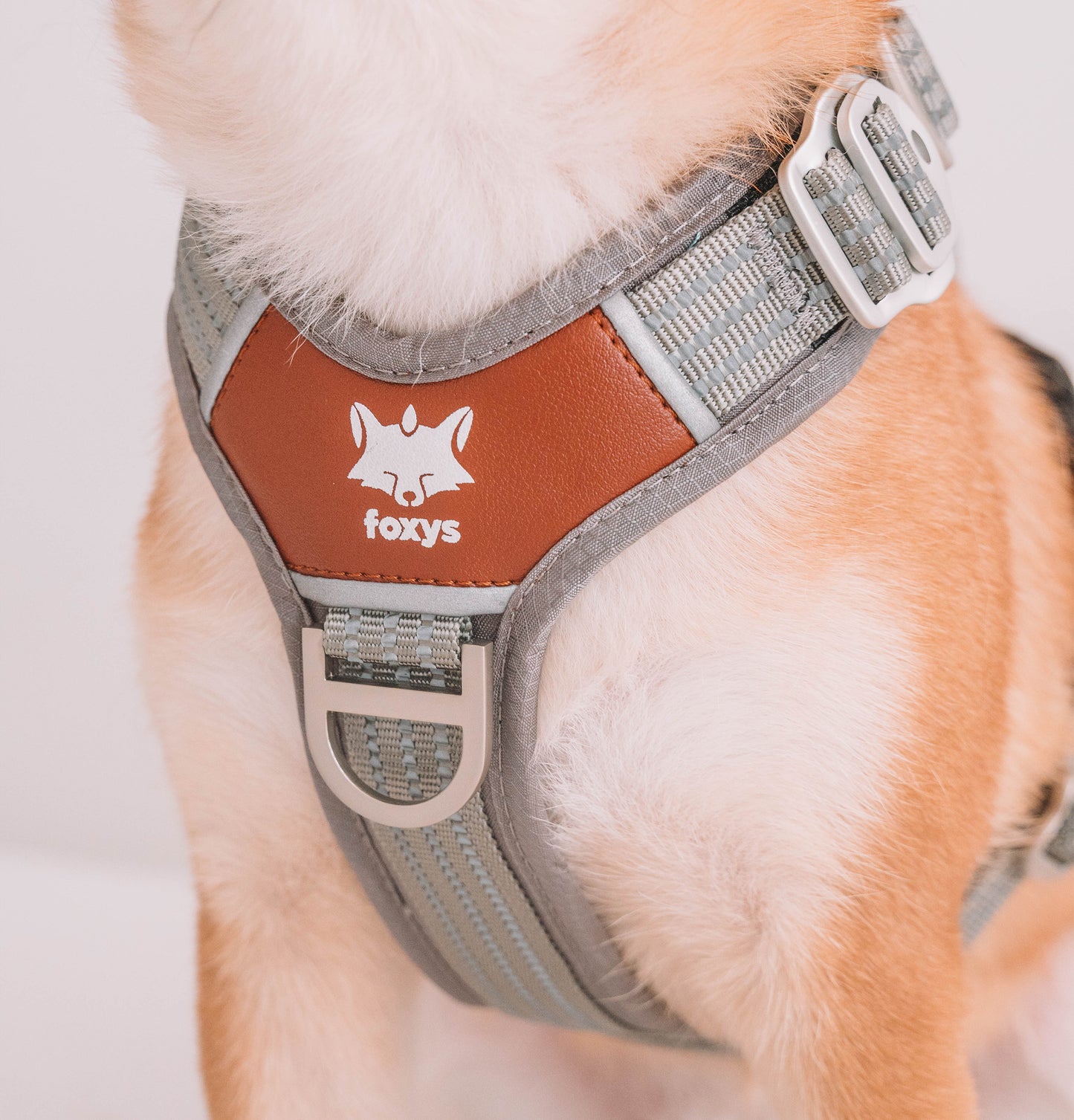 CountryFox™  PRO Arnés |  Gris