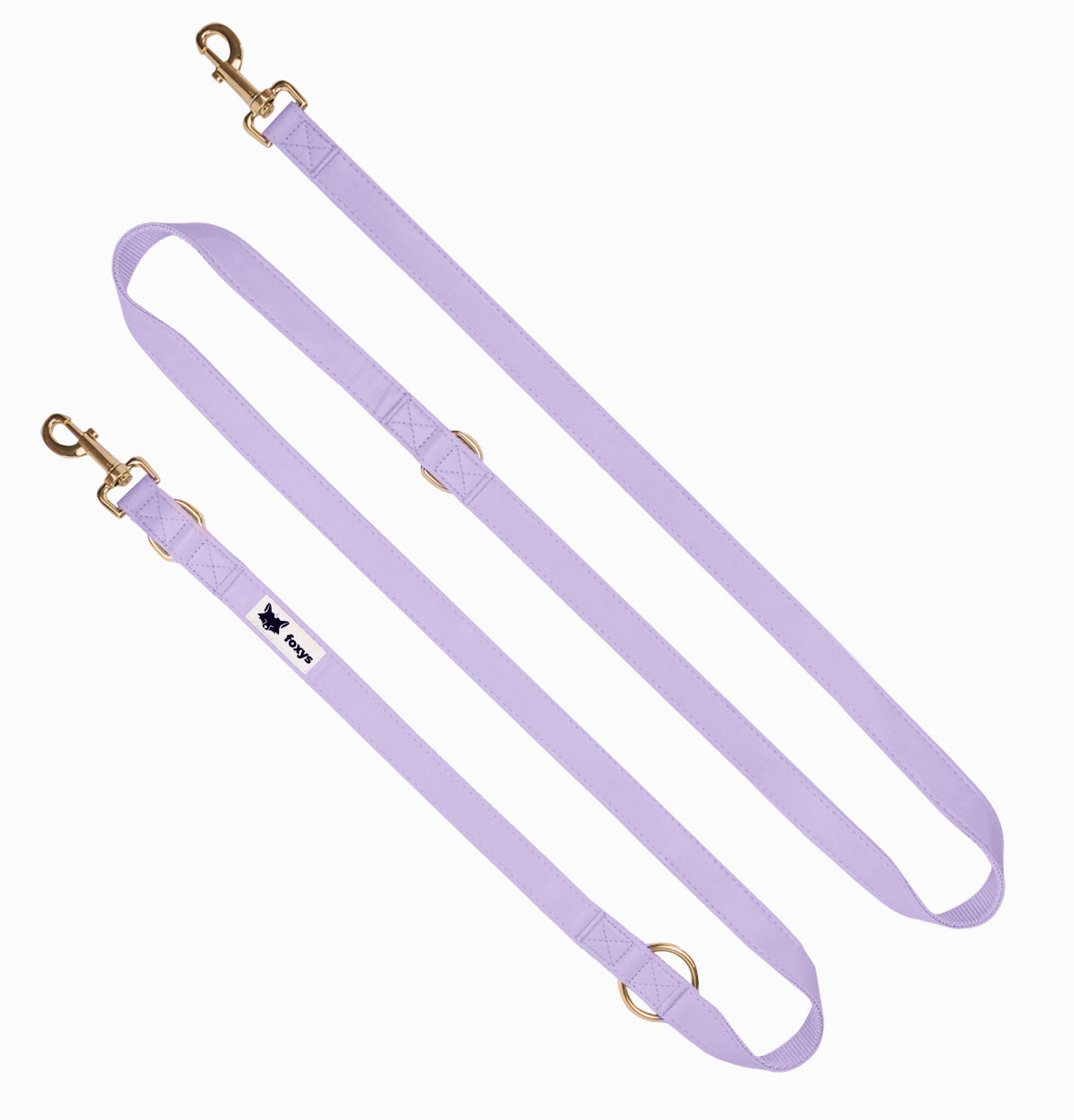 CityFox™ Kit Collar y Correa 2,5m |  Lila