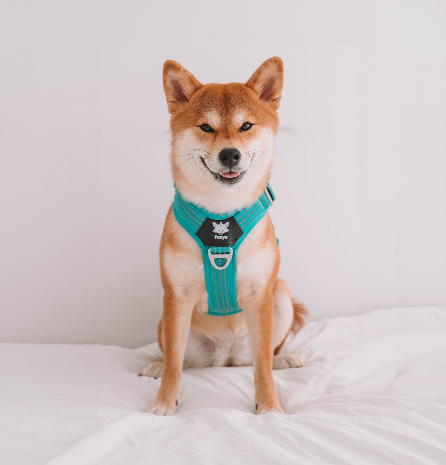 CountryFox™ Harness |  Aqua