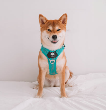CountryFox™ Harness |  Aqua