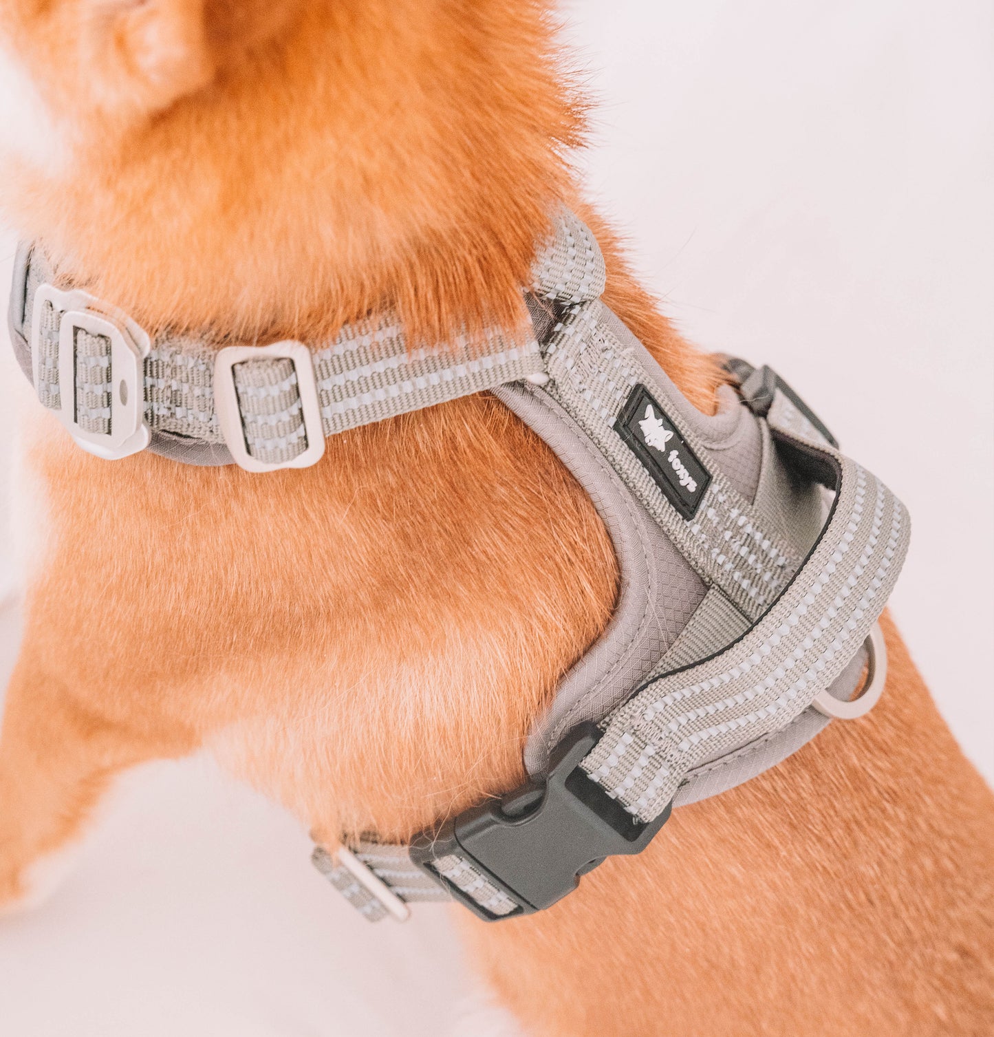 CountryFox™  PRO Arnés |  Gris