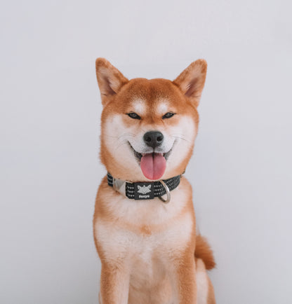 CountryFox Collar • Negro