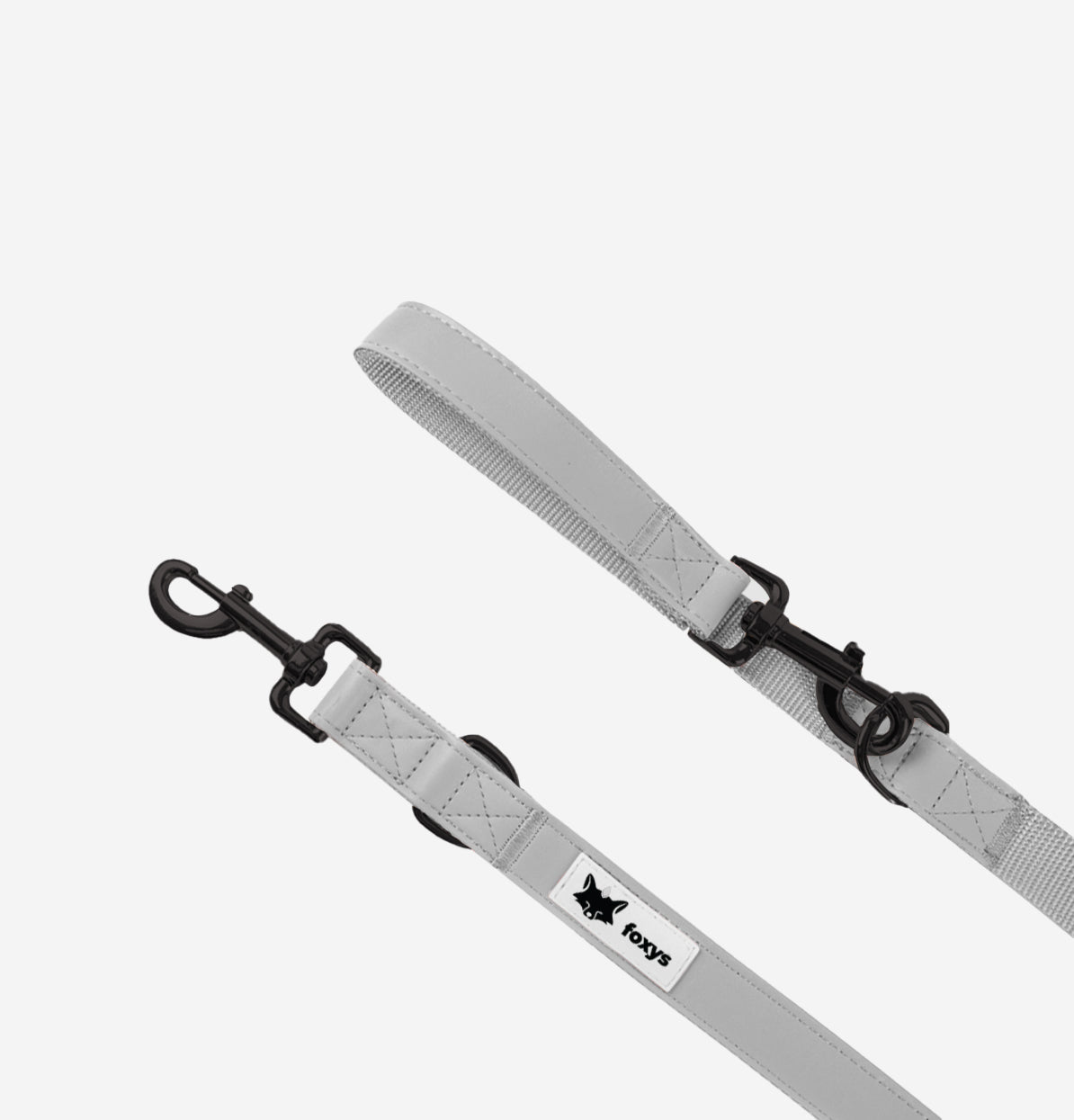 CityFox™ Kit Collar y Correa 2,5m |  Gris