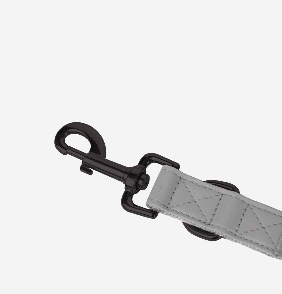 CityFox™ Kit Collar y Correa 2,5m |  Gris