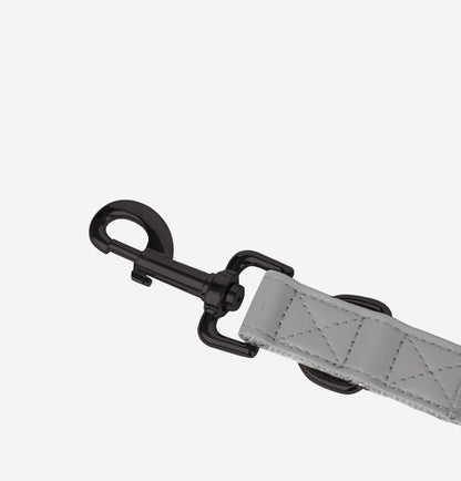 CityFox™ Kit Collar y Correa 2,5m |  Gris
