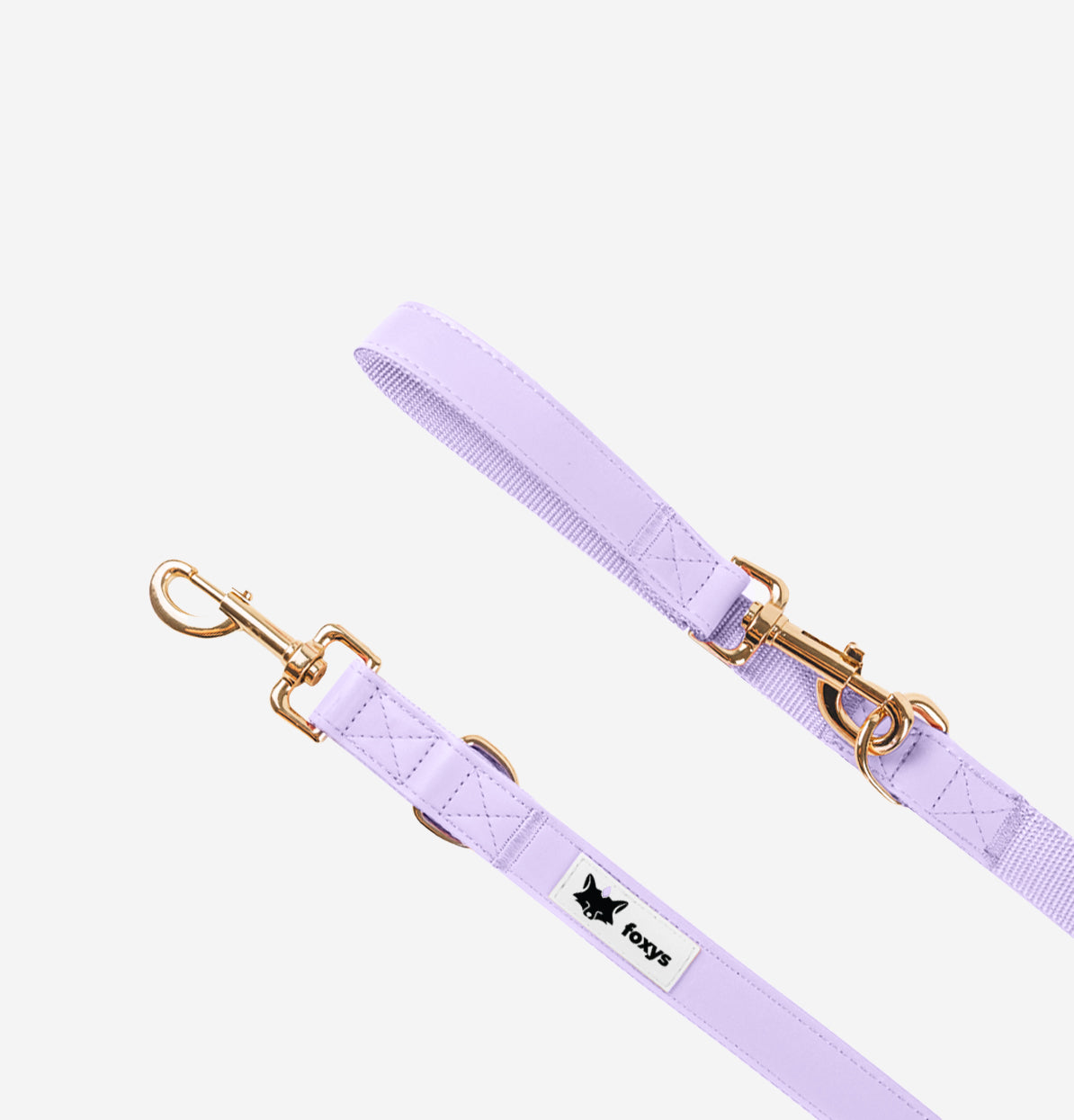 CityFox™ Kit Collar y Correa 2,5m |  Lila