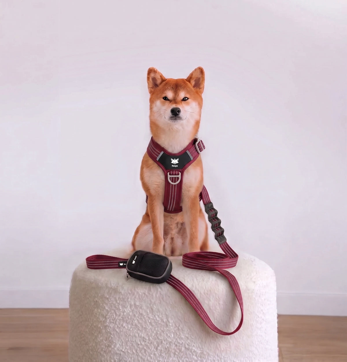 CountryFox™ PRO Harness | Black