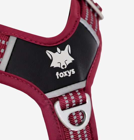 Countryfox ™ Pro Harness • Black