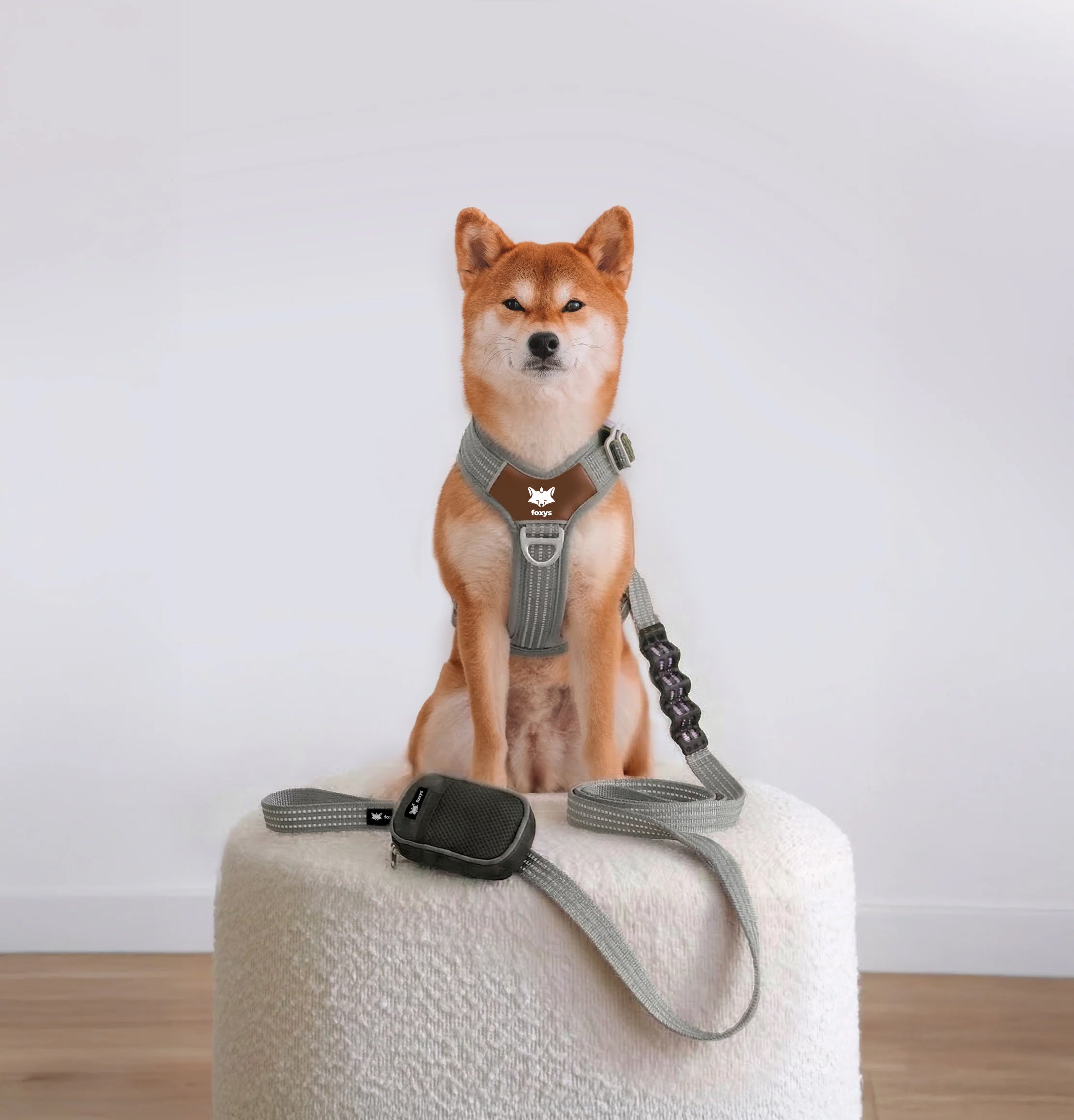 CountryFox Dog Walking Kit — Grey | Foxys – Foxys