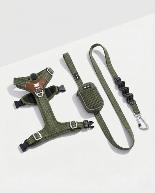 Matcha Green Waking Kit