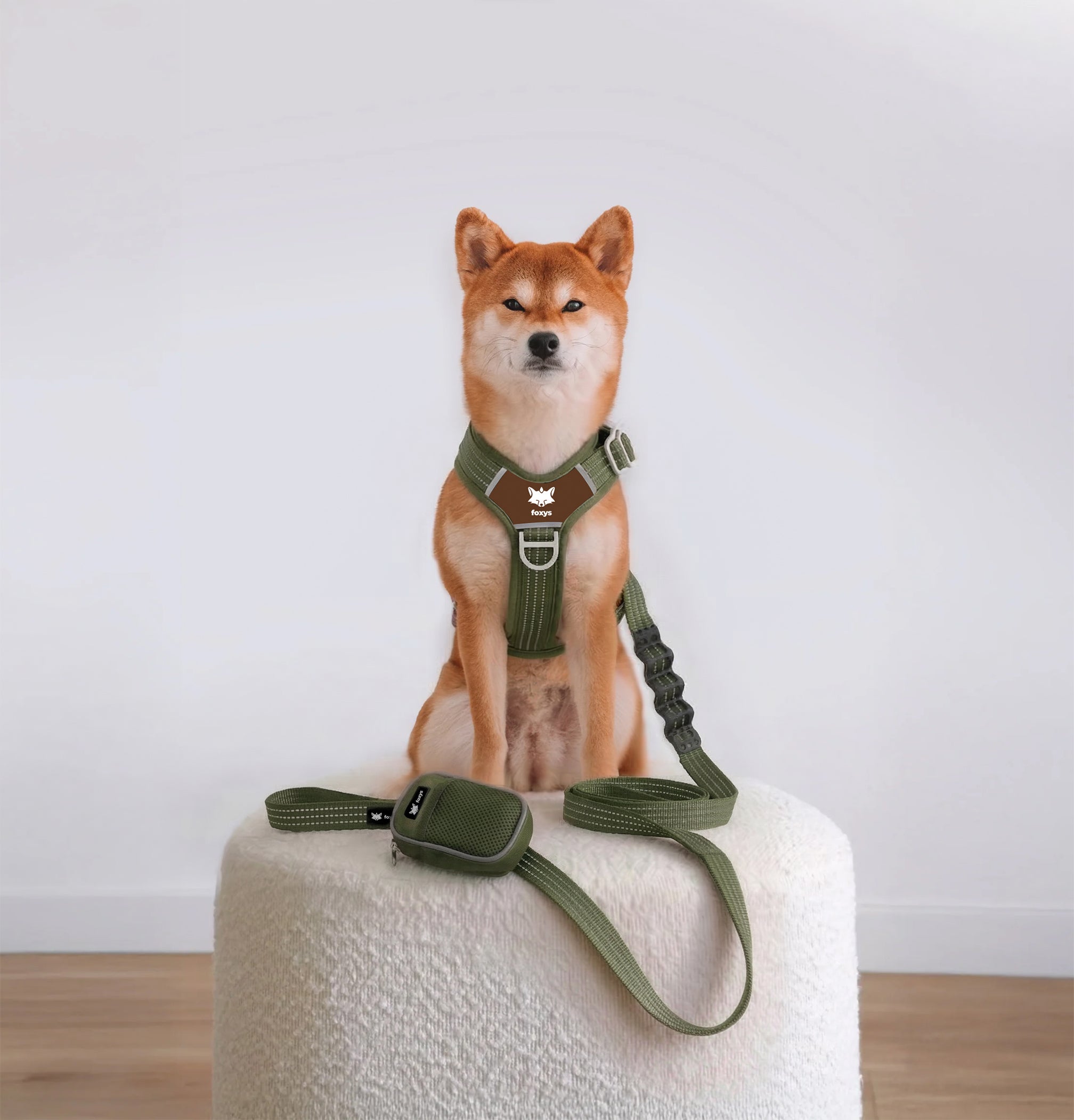 CountryFox Dog Walking Kit — Matcha | Foxys – Foxys