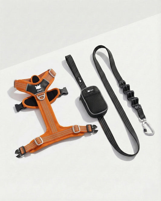 Walking Kit • Orange