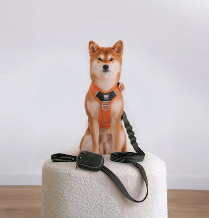 Walking Kit • Orange