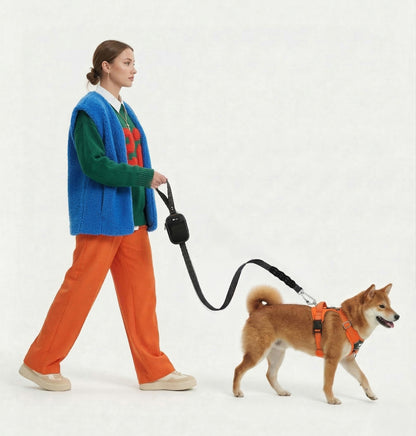 Walking Kit • Orange