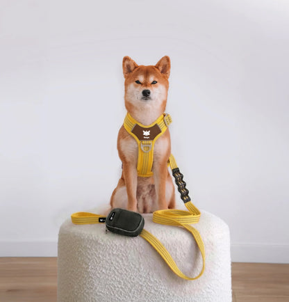 Walking Kit Butter Yellow