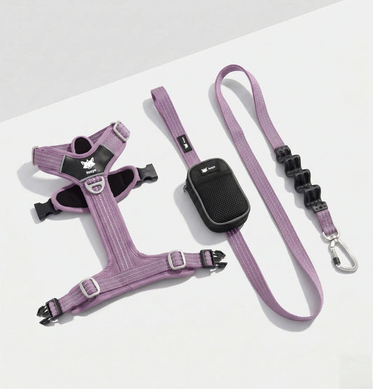 Walking Kit • Lilac