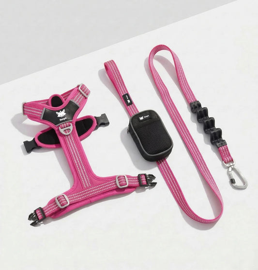 Walking Kit • Pink