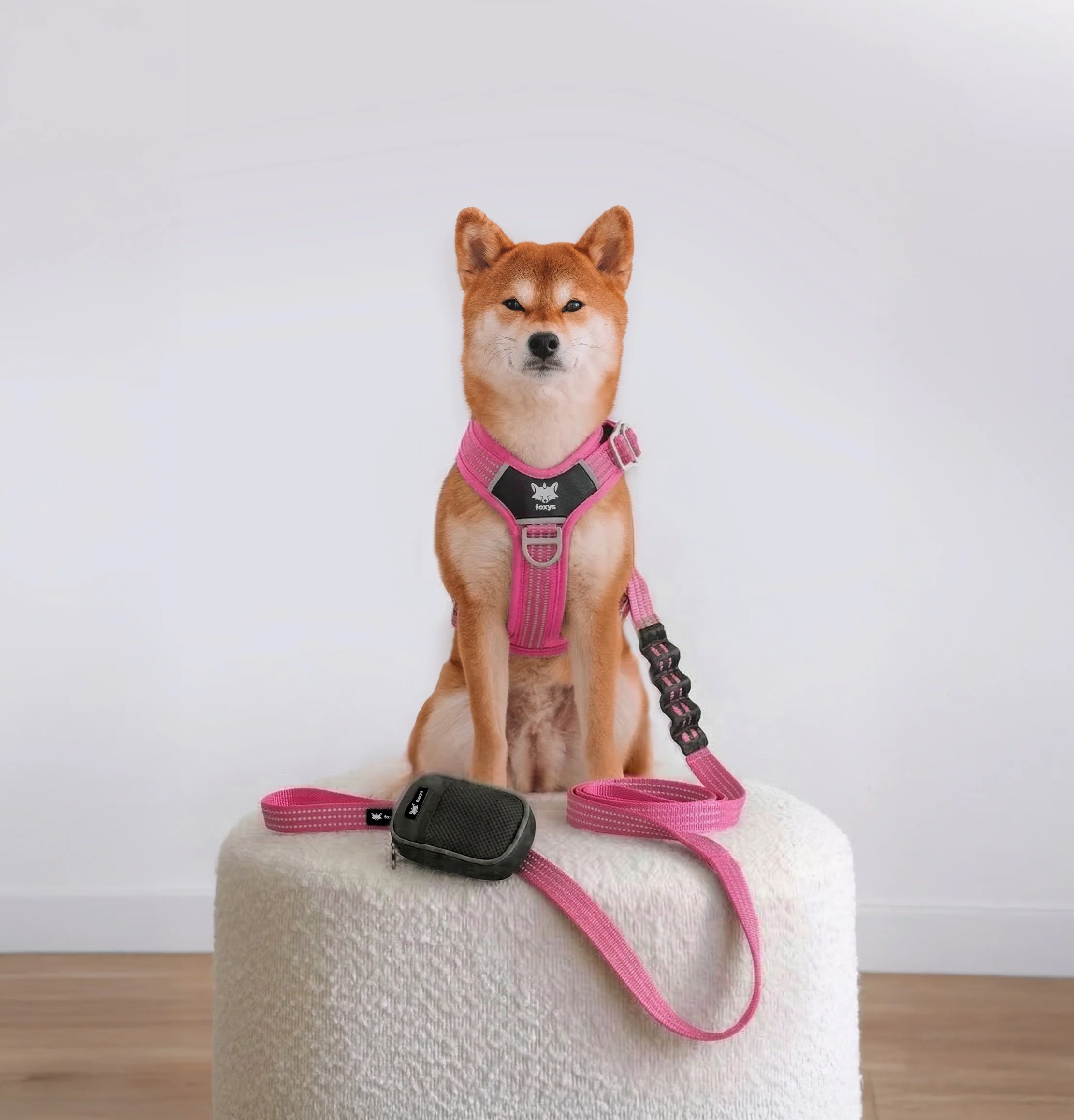 CountryFox PRO Dog Leash — Pink | Foxys – Foxys