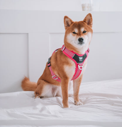 CountryFox™ PRO Harness - růžový