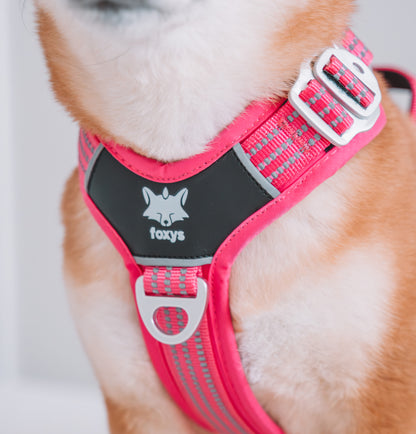 CountryFox™ PRO Harness - růžový