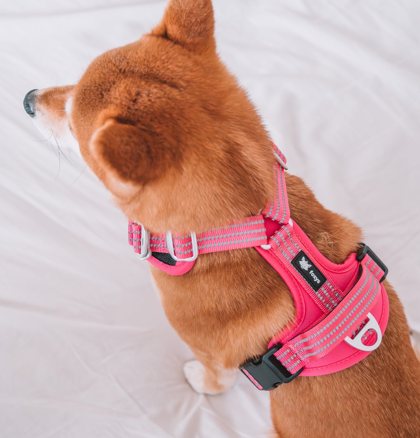 CountryFox™ PRO Harness - růžový