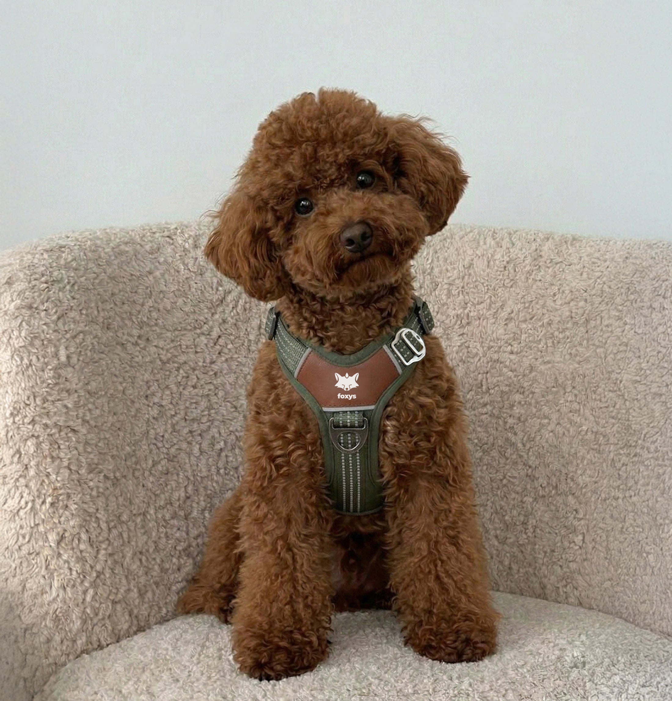 Countryfox ™ Ergonomic Harness for dogs | Foxys – Foxys