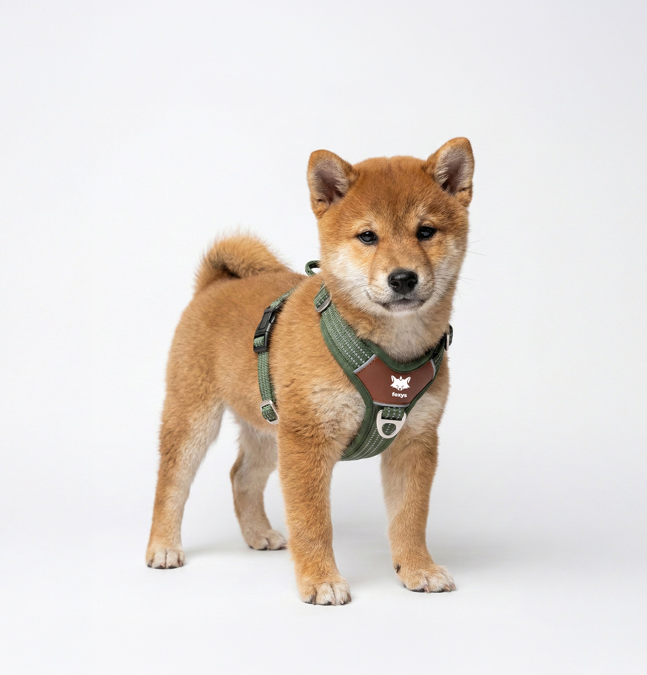 Countryfox ™ Ergonomic Harness for dogs | Foxys – Foxys