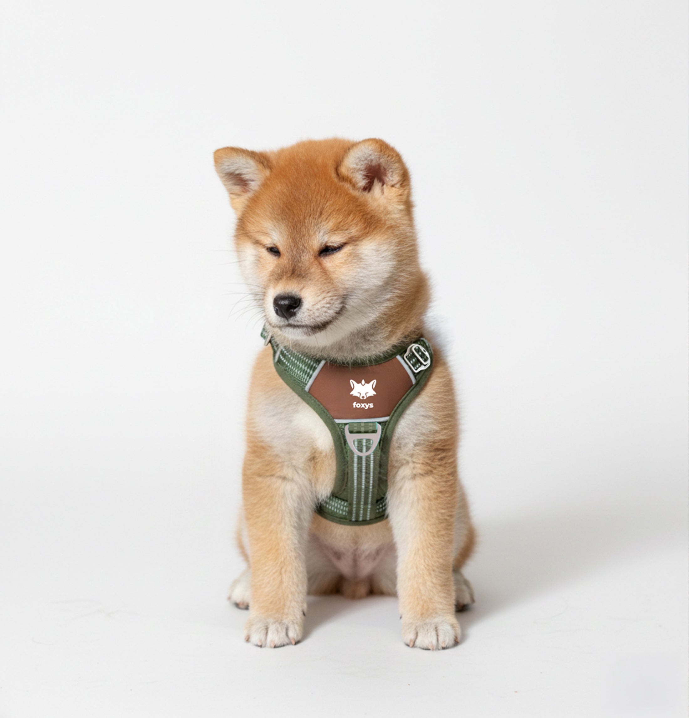 Countryfox ™ Ergonomic Harness for dogs | Foxys – Foxys