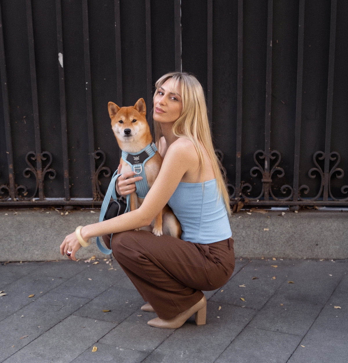 Walking Kit • Baby Blue