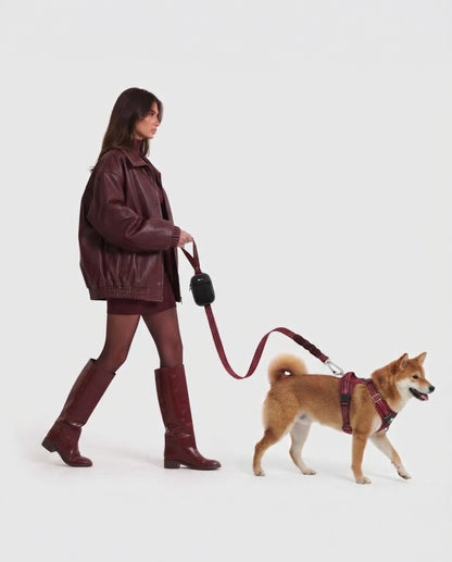 Walking Kit • Red