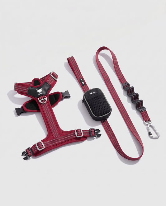 Walking Kit • Red
