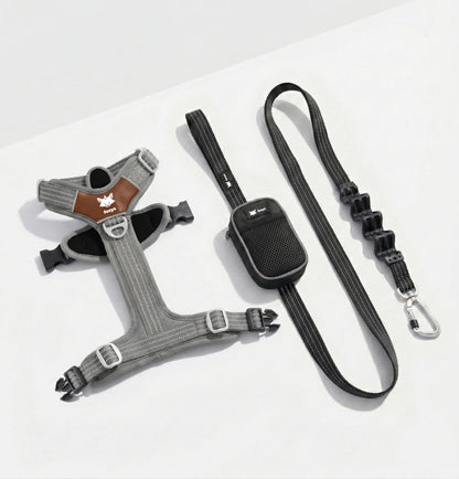 Walking Kit • Gris