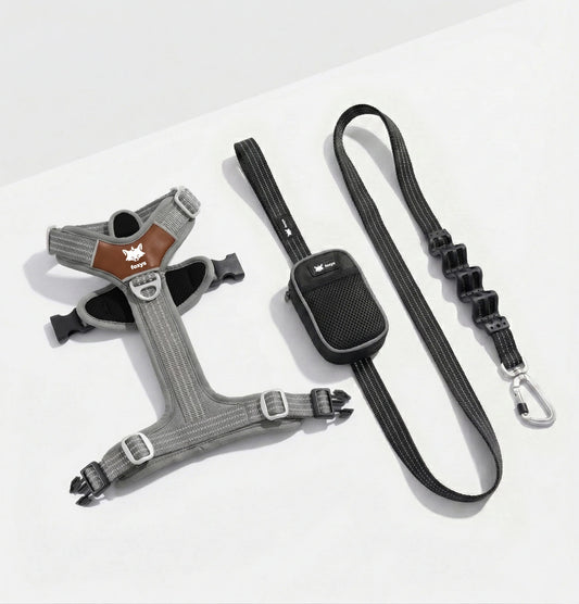 Walking Kit • Gray