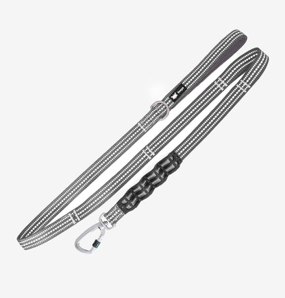 Grey_CountryFox_DogLeash_Antipulling_foxys