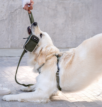 Countryfox ™ Pro harness |  Matcha green