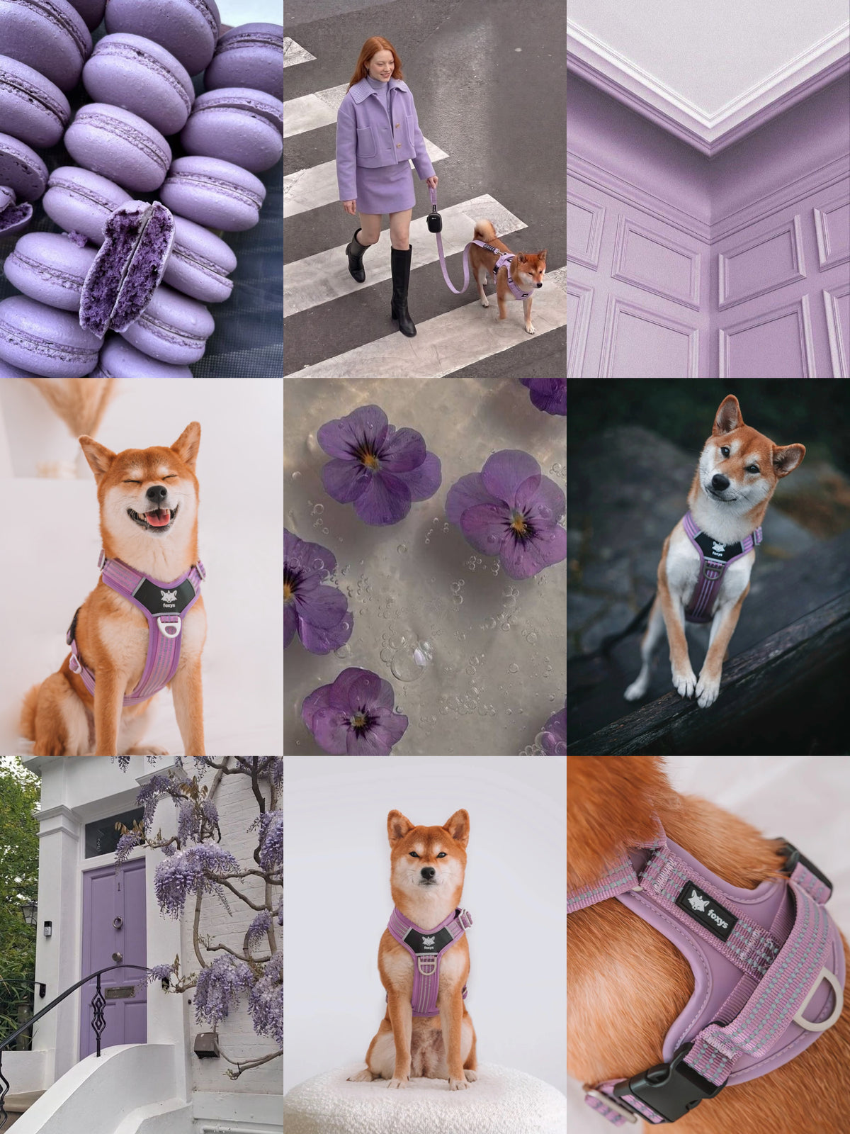 Walking Kit • Lilac