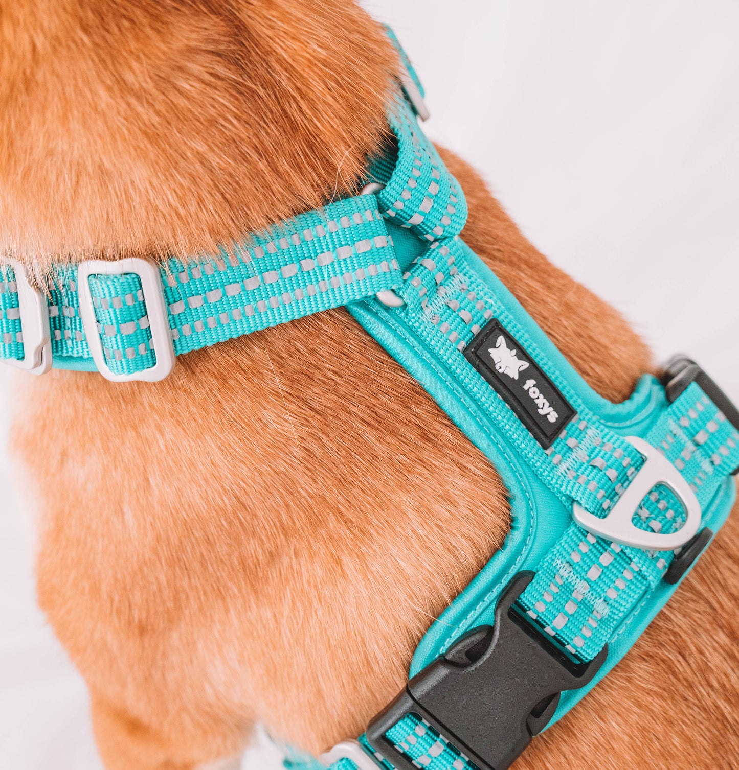 CountryFox™ Harness |  Aqua