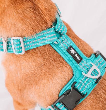 CountryFox™ Harness |  Aqua