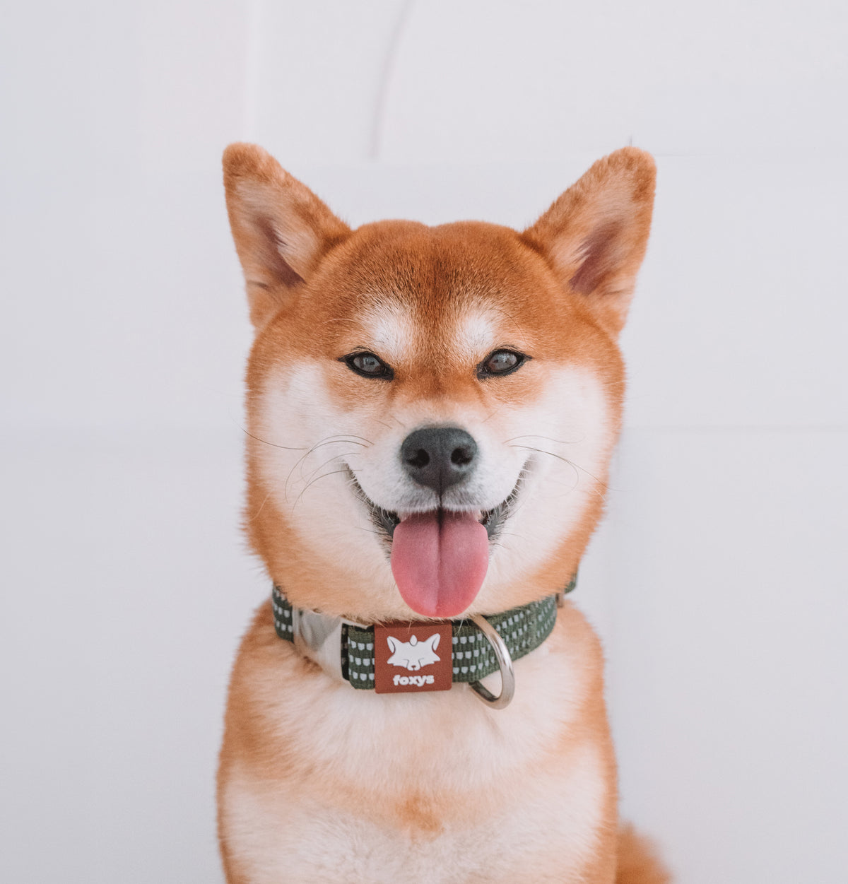 CountryFox Collar • Green Matcha