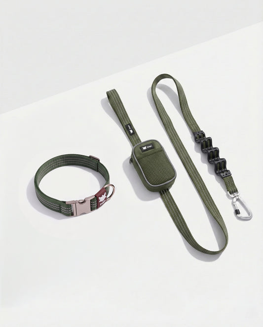 Walking Collar Kit • Matcha Green